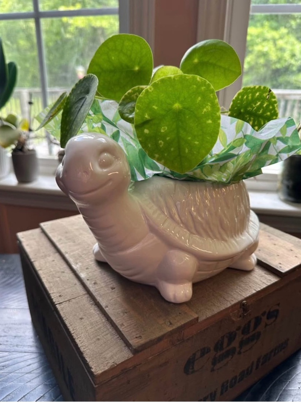White Ceramic Turtle Planter - Cute Home Accent